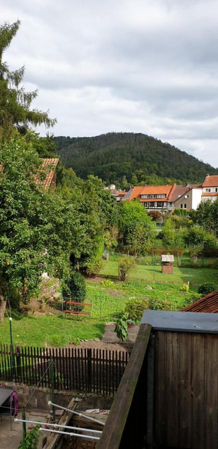 Ferienwohnung Silvia Bad Lauterberg Extérieur photo