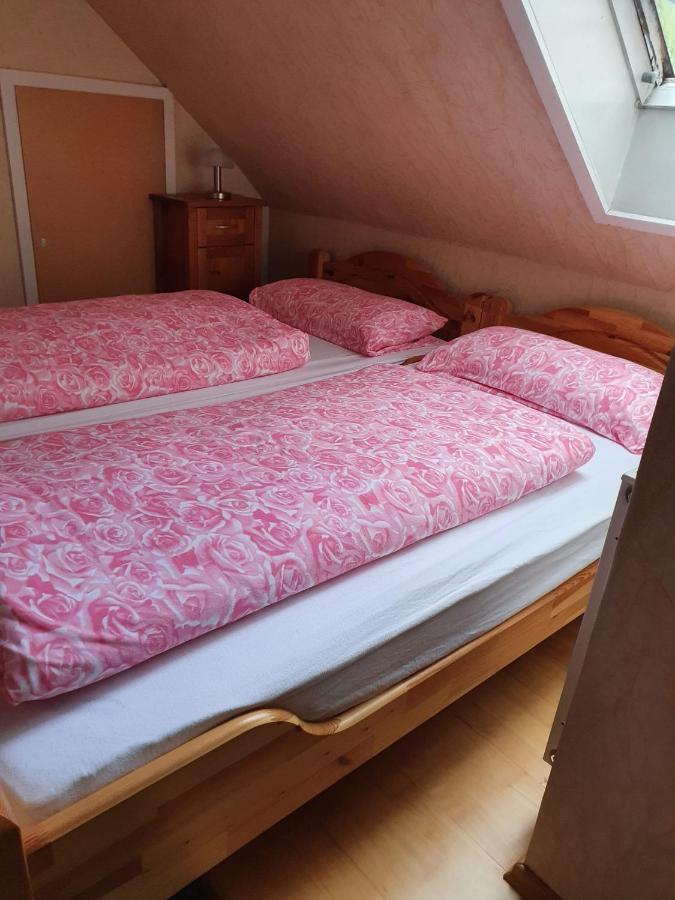 Ferienwohnung Silvia Bad Lauterberg Extérieur photo